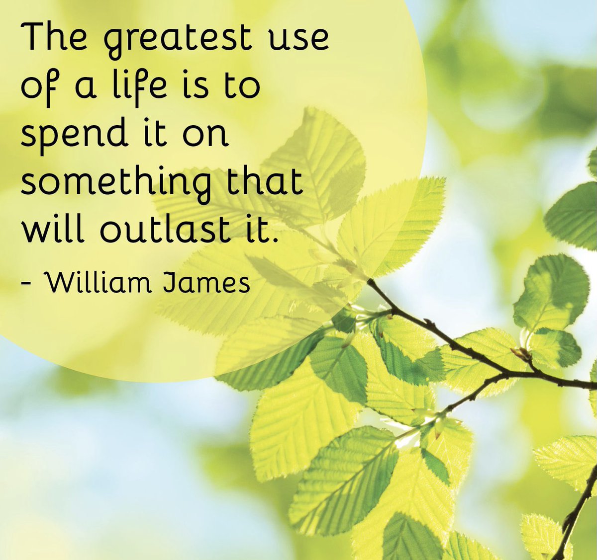 Mrs. Nance (@kasally3) on Twitter photo 