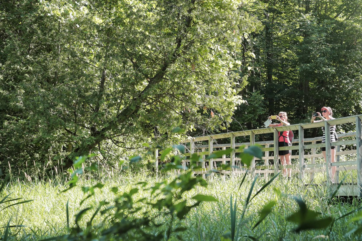 We can all count on nature to provide a space that BOOSTS our moods. Let’s keep it this way by keeping each other safe and following the provincial guidelines for #COVID.