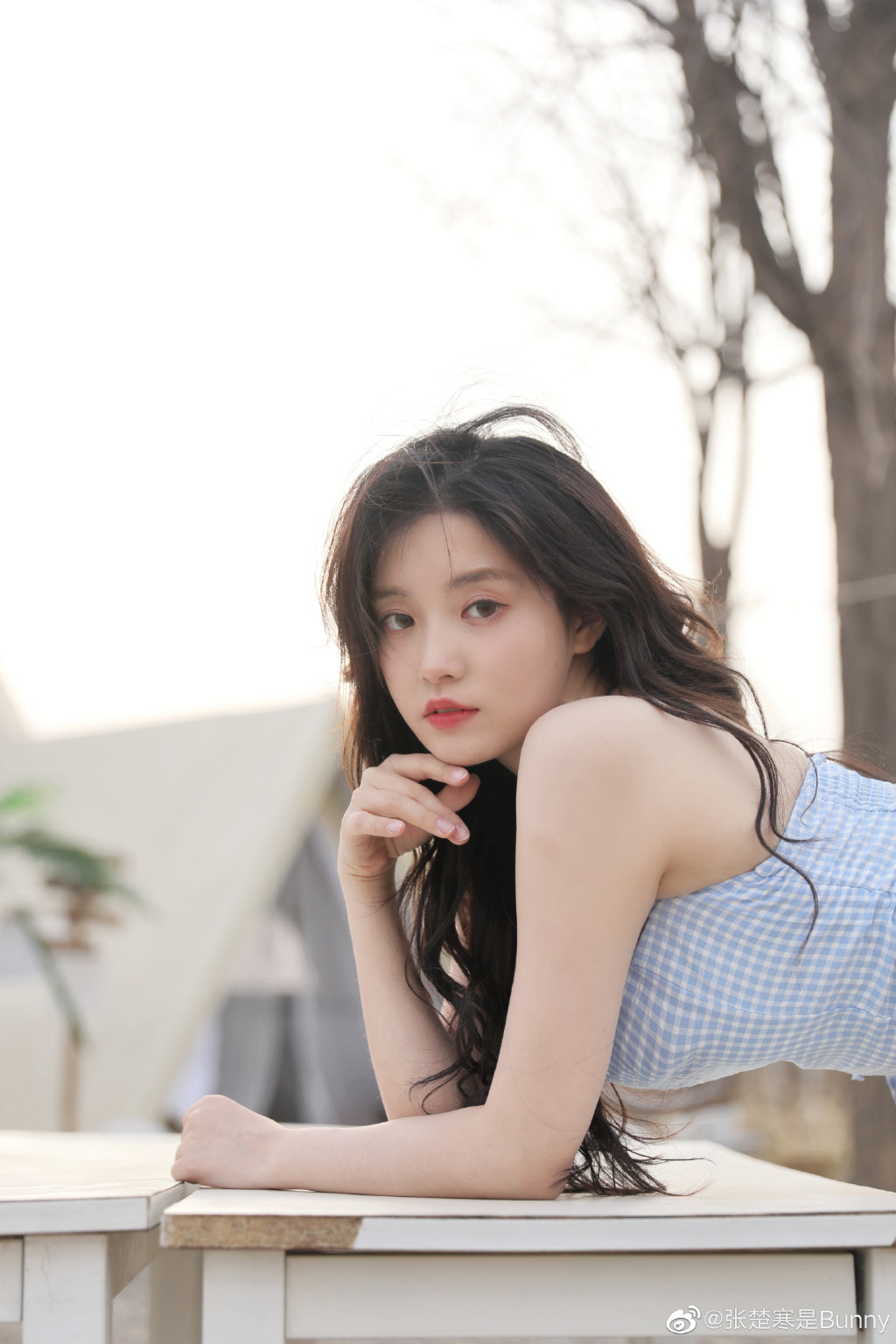 Bunny Zhang Updates On Twitter: