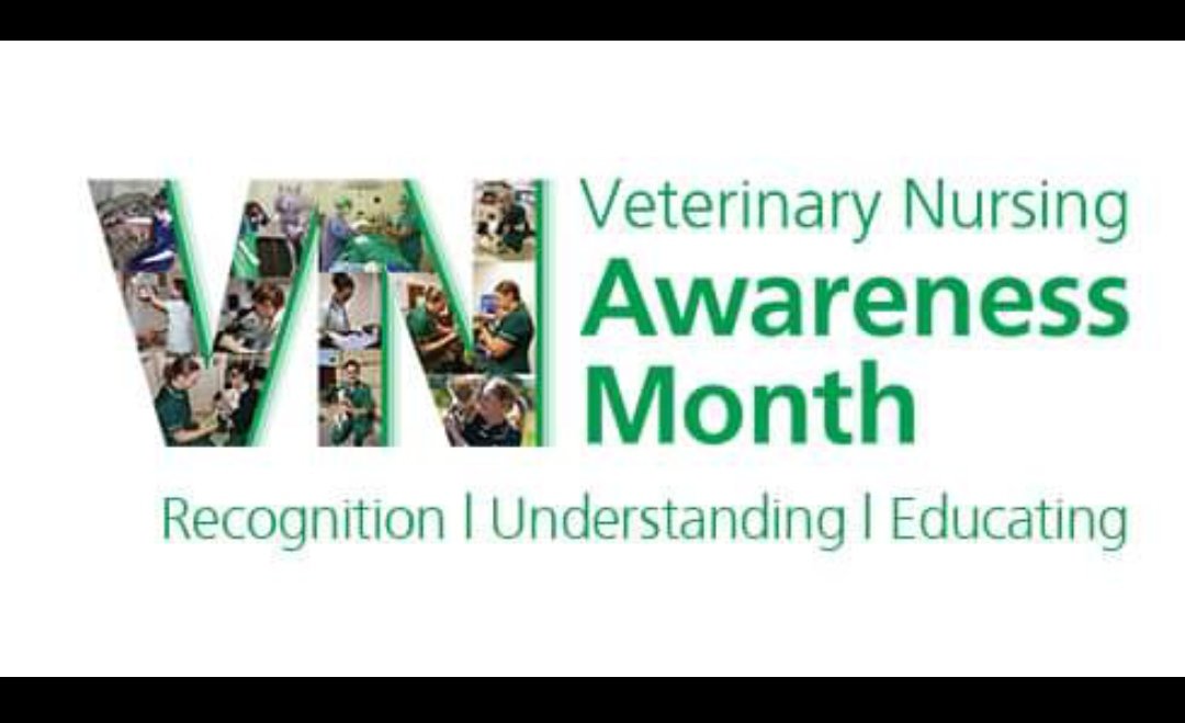 ndungirobert's tweet photo. Veterinary Nursing month is here again dedicated for recognition and educating about the role of the Vet Nurse. This year's theme is sustainability with the tagline; “I’m a veterinary nurse, and I’m human too!” https://t.co/zcyMgPWfic
