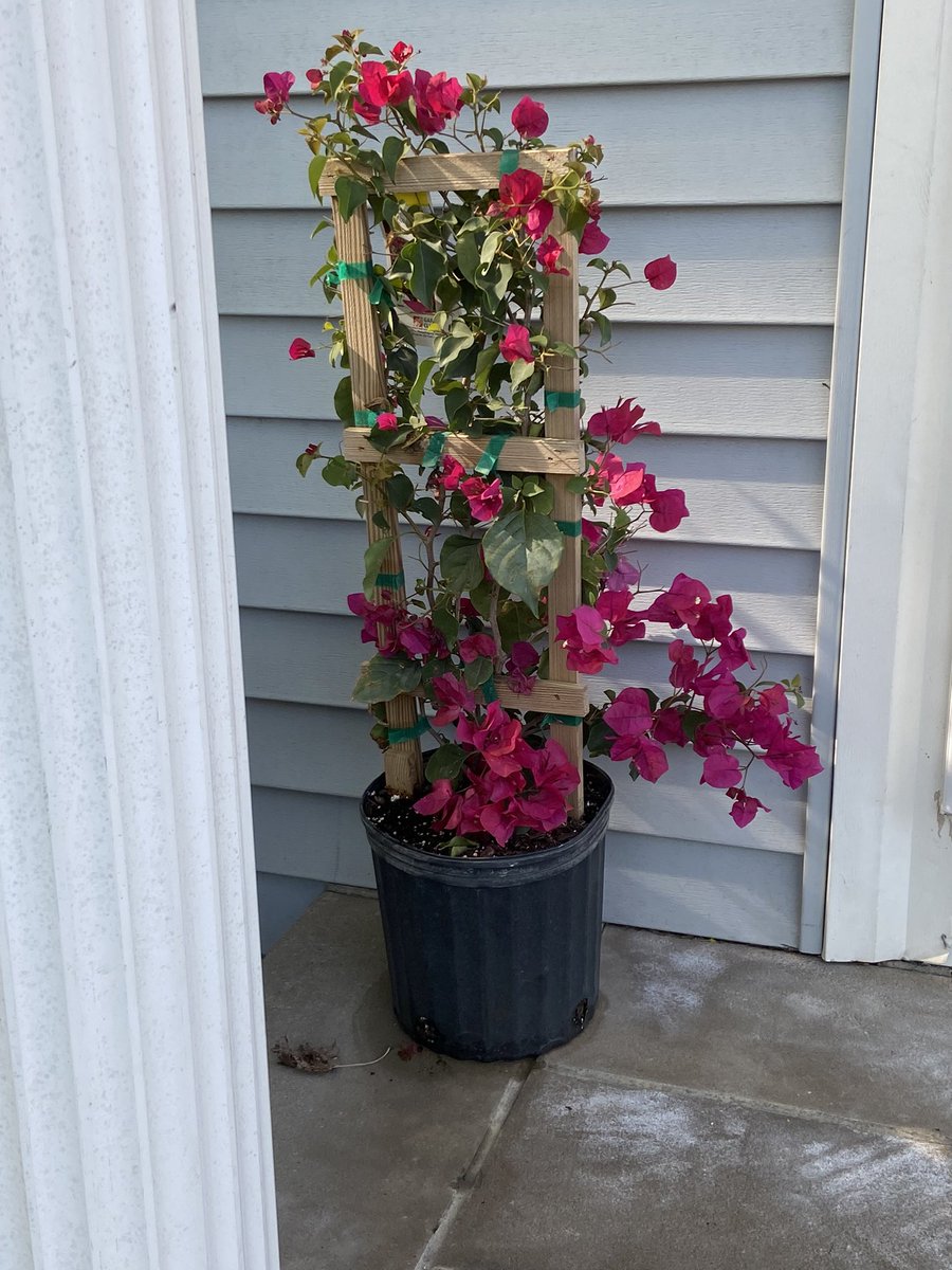 Mark Levesque (@marklevesquethd) on Twitter photo Sometimes you have to buy what you’re selling! #D71InIttoWinIt <a href="/THDNathaniel/">Nathaniel Royer</a> <a href="/gxf99l/">Gino Fusco</a> <a href="/grand_alicia/">alicia grand</a> <a href="/SkidgellTravis/">Travis Skidgell</a> <a href="/Stevehaynz/">Stephen Haynes</a> Sometimes you have to buy what you’re selling! #D71InIttoWinIt <a href="/THDNathaniel/">Nathaniel Royer</a> <a href="/gxf99l/">Gino Fusco</a> <a href="/grand_alicia/">alicia grand</a> <a href="/SkidgellTravis/">Travis Skidgell</a> <a href="/Stevehaynz/">Stephen Haynes</a>