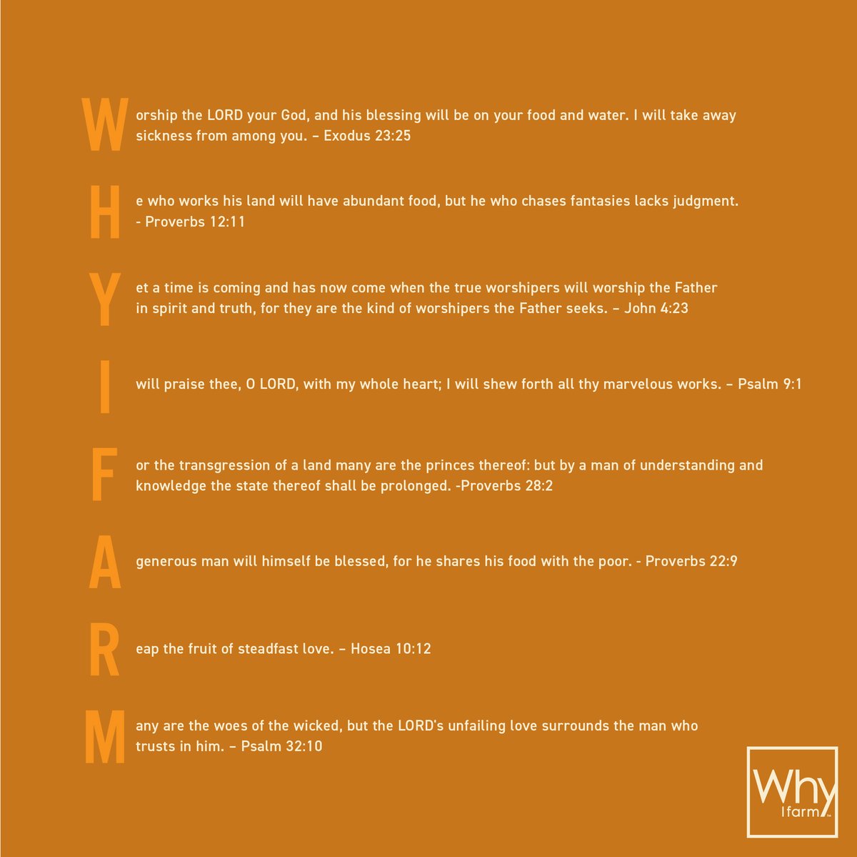 Praise the Lord with your whole 💛

#whyifarm #sundayschool