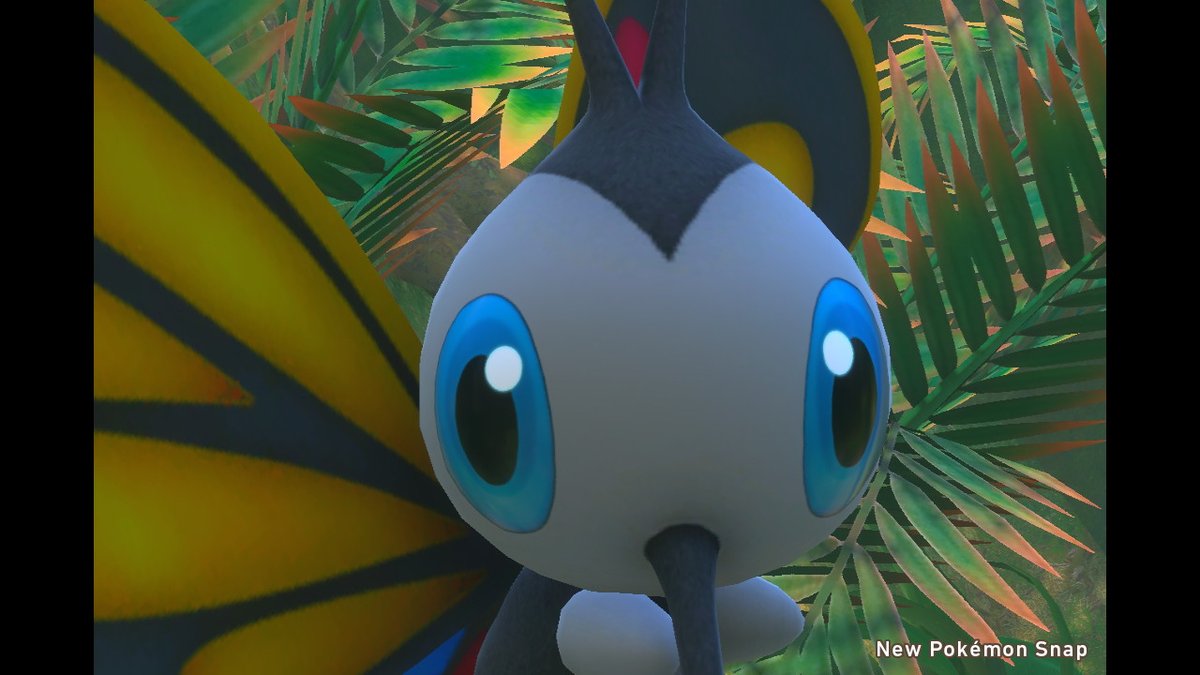 Newポケモンスナップ撮影旅行 Togetter