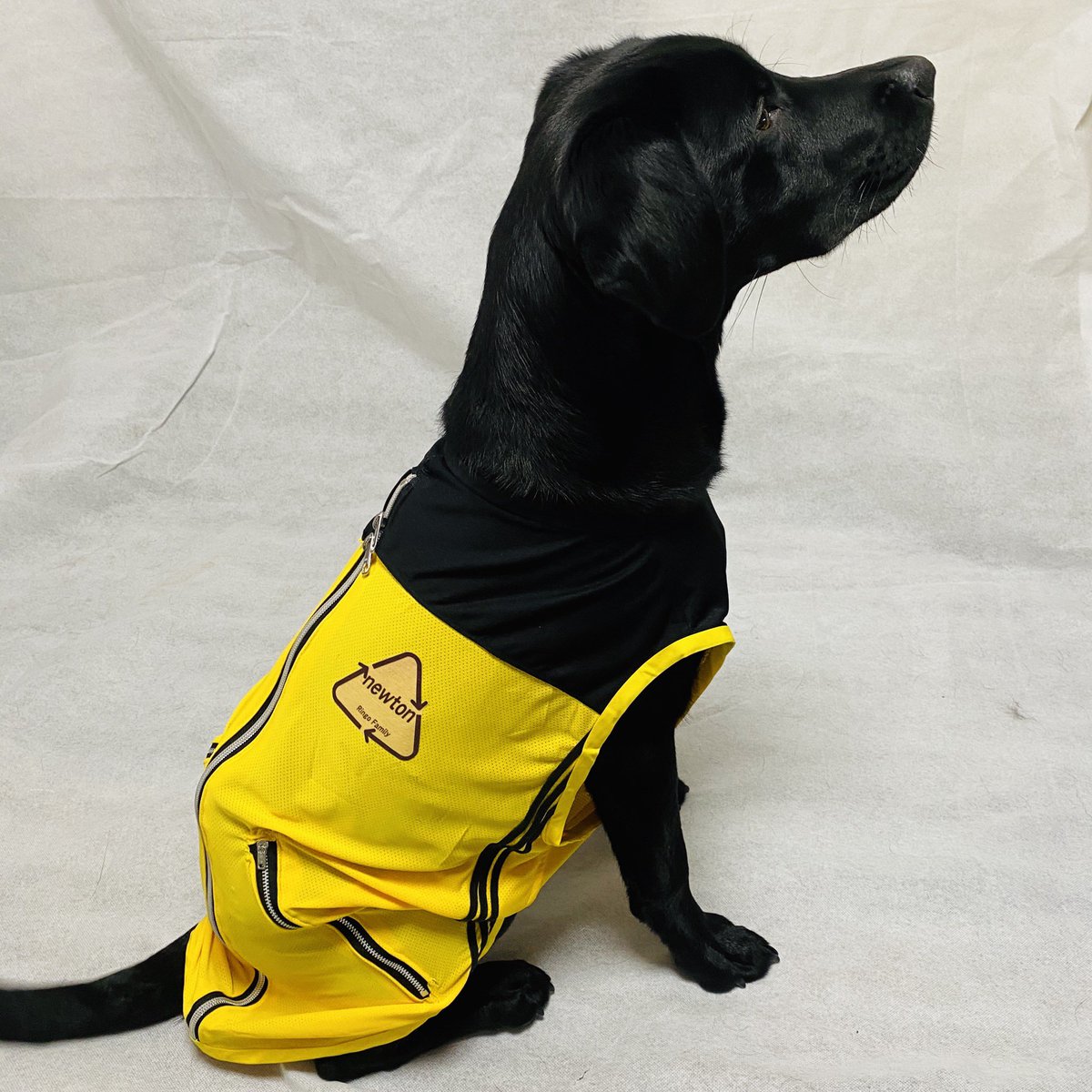 ハンドメイドワンコ服