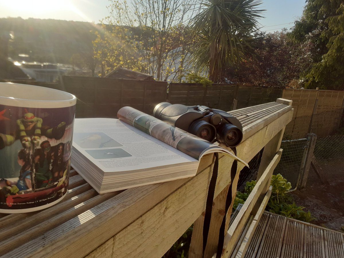 ✅ Brew
✅ Binoculars 
✅ Bird Book
✅ @StuBearhop quaking in his boots
🎵🐦Happy #nationaldawnchorusday 🐦🎵