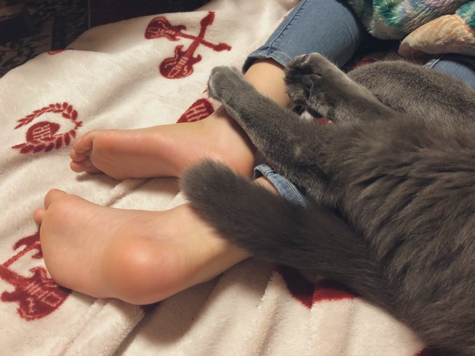 Twitterのコスプレ画像45