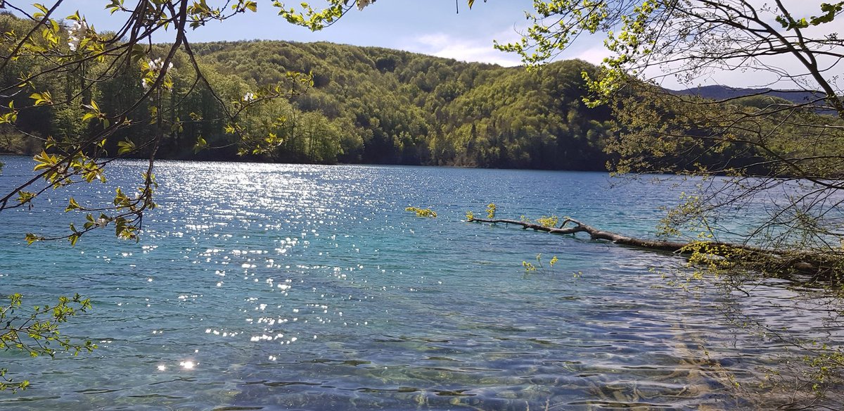 Die unglaubliche Schönheit der Plitvicer Seen. The stunning beauty of the Plitvice Lakes. Zadivljujuća ljepota Plitvičkih jezera. Nacionalni park #Plitvičkajezera