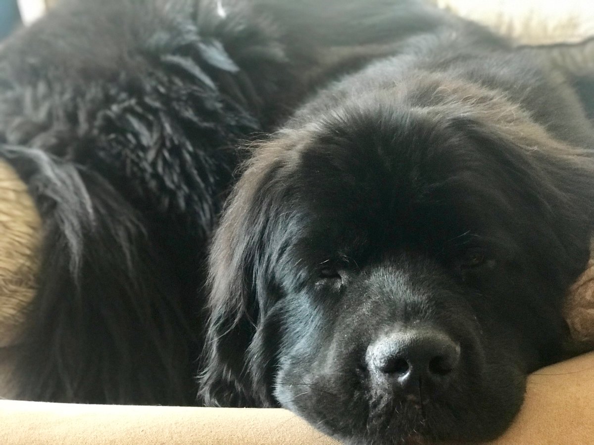 Skye Barbic she/her/hers tweet media