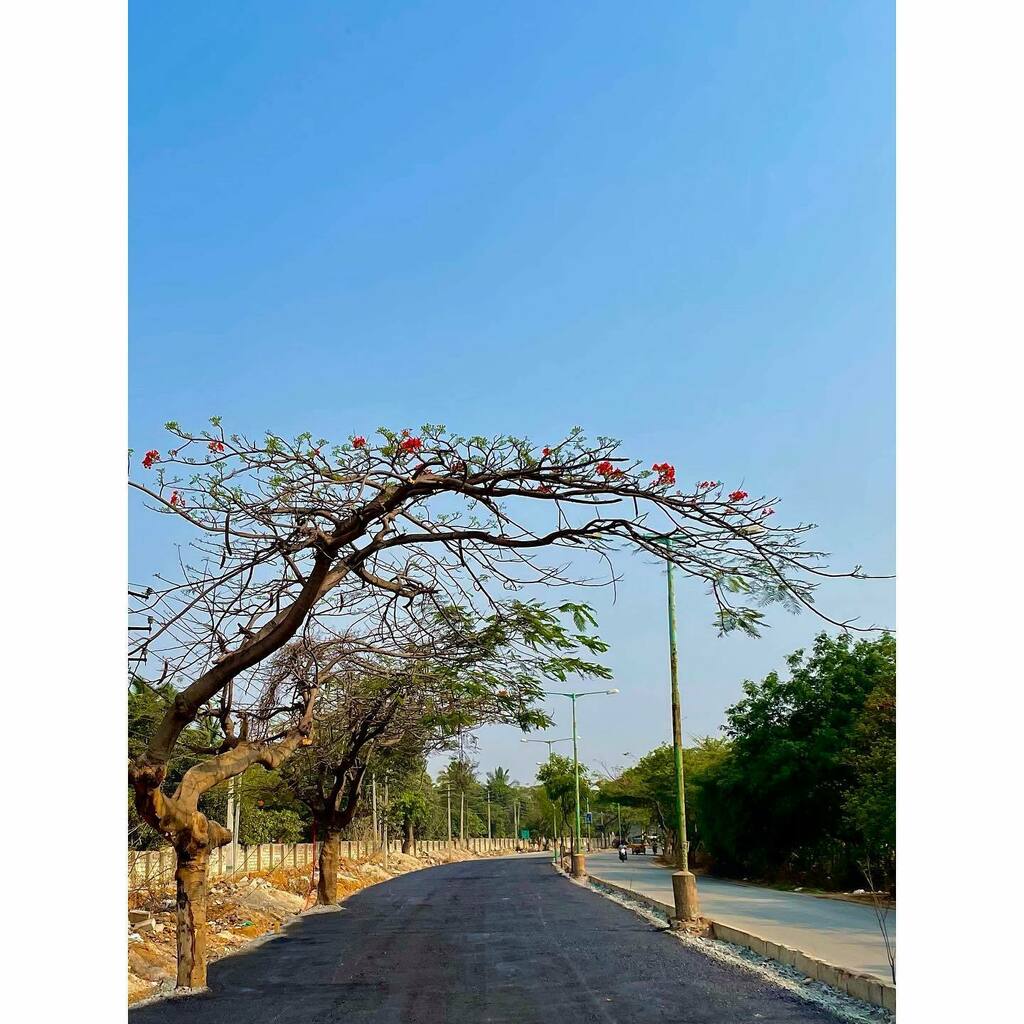 #lockdown2021 #emptyroads and #baldtrees 

#Photographerlifestyle #Streetphotograpyinternational #Streetphoto_Greatshots #Streetphotographyintheworld #Streetphotographyjournal #Streetphotographynow #Ig 
#Landscapephotograpy #Landscape_Love #Landscapeshot… instagr.am/p/COYBaEwnlFZ/