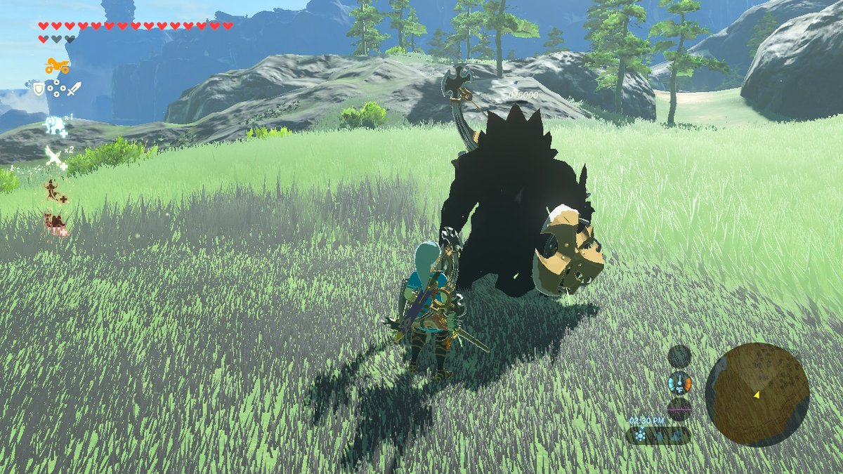 #BreathoftheWild #NintendoSwitch