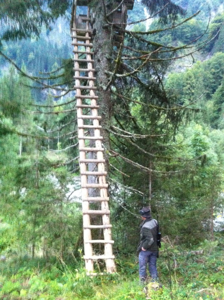 Duerckheim's tweet photo. (Balderschwang, Bavaria): Jacob's Ladder (Hebrew: סֻלָּם יַעֲקֹב Sūllām Ya‘aqōv) is a ladder leading to heaven that was featured in a dream the biblical Patriarch Jacob had during his flight from his brother Esau in the Book of Genesis (chapter 28) (Wikipedia) https://t.co/5rsP0ywGyL