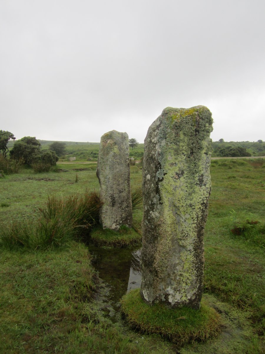Do these count for #StandingStonesSunday? Two stones which are not part of any of the three stone circles of the Hurlers, these are The Pipers #lateneolithic #archeology #Cornwall #BodminMoor