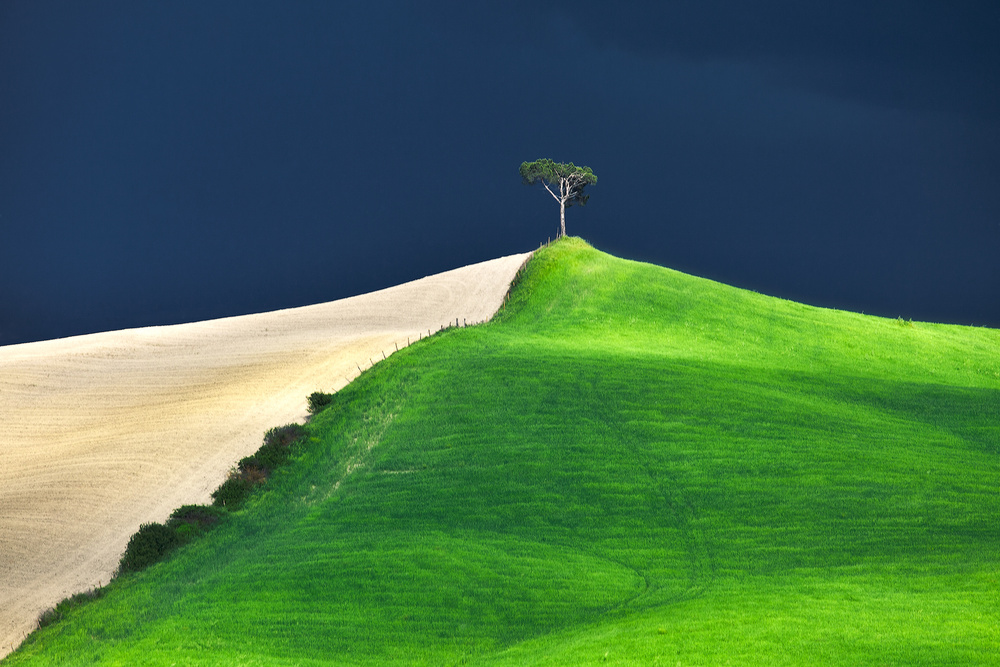 .

Fiorenzo Carozzi  #photography #springcolors 💙💚
.
.