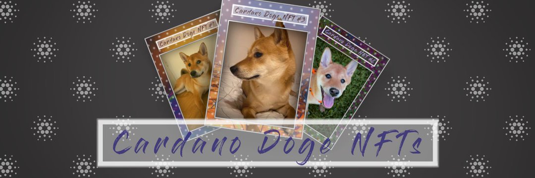 CardanoDogeNfts's tweet photo. @Niftor https://t.co/ZFYn5RJ9Px