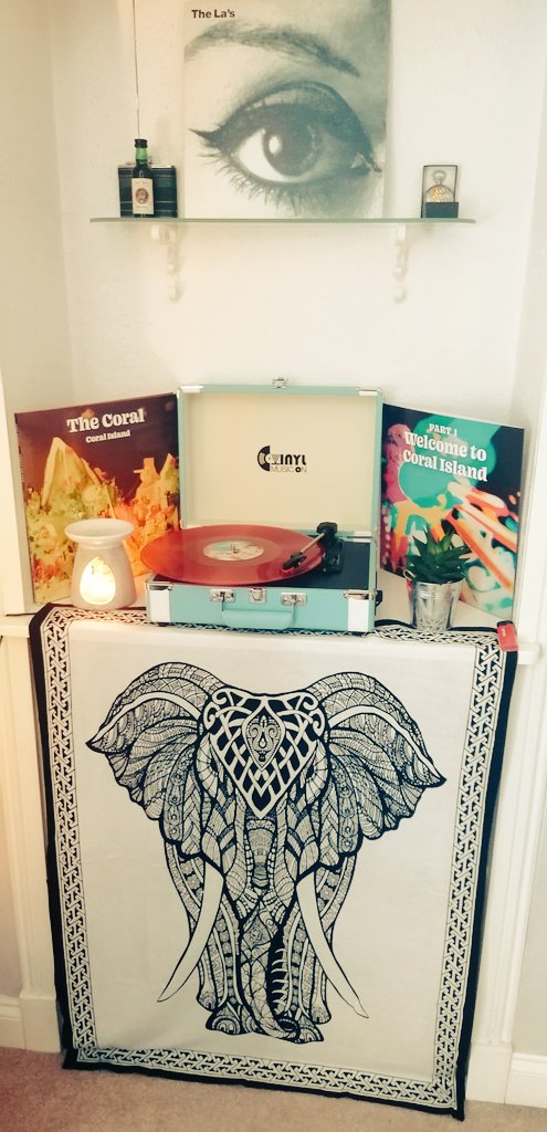 First listen to new <a href="/thecoralband/">The Coral</a> vinyl Coral Island