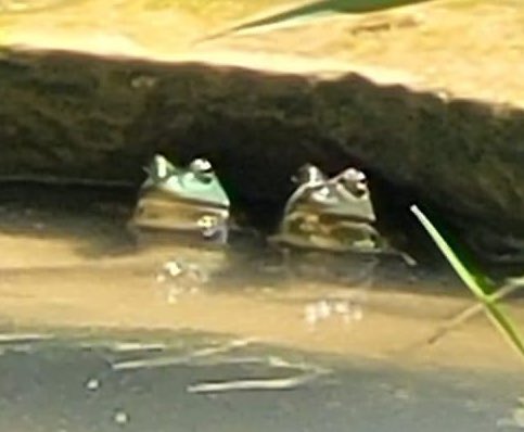 chillin under a waterfall with his friend