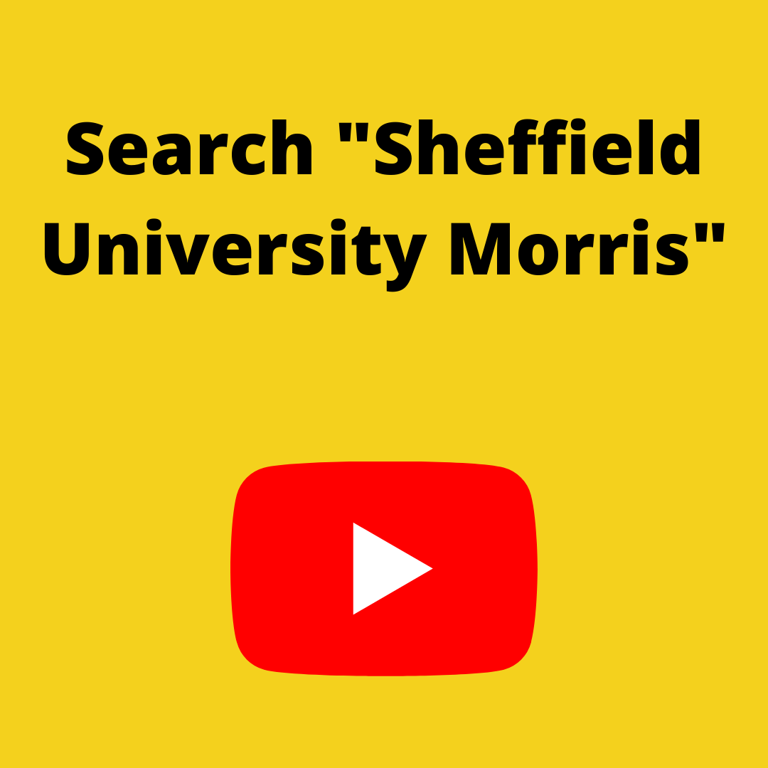 We've discovered that if we get 100 subscribers on our YouTube channel, we can get a custom URL 😮
If everyone who sees this post, goes and subscribes, we think we can get there!
The link is here: youtube.com/channel/UCSZTH…, or search for Sheffield University Morris.
Thanks!