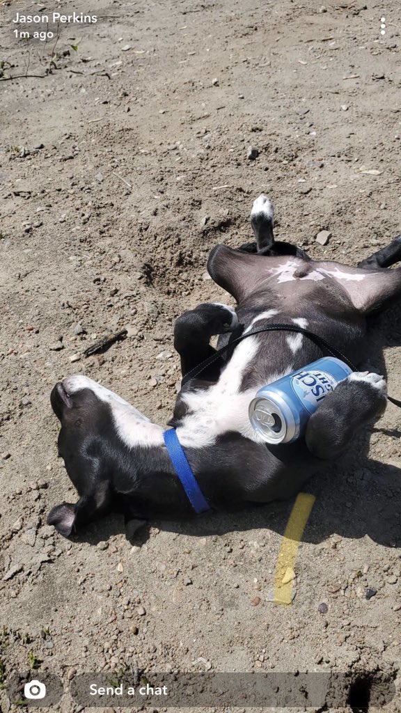 jaime67348660's tweet image. #BuschCTOcontest