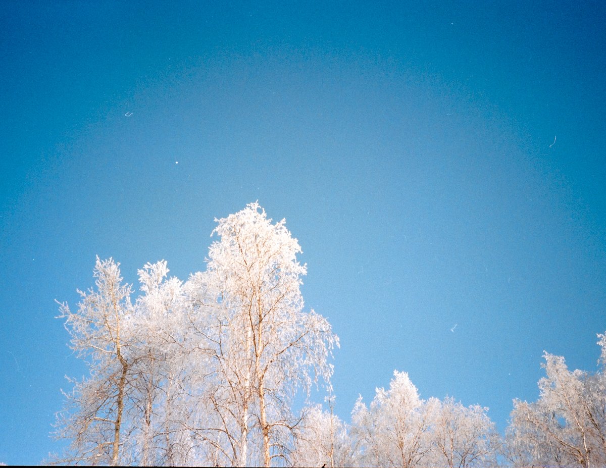 ChaseBurnett's tweet photo. Film from winter. https://t.co/NtqL2nCtc8