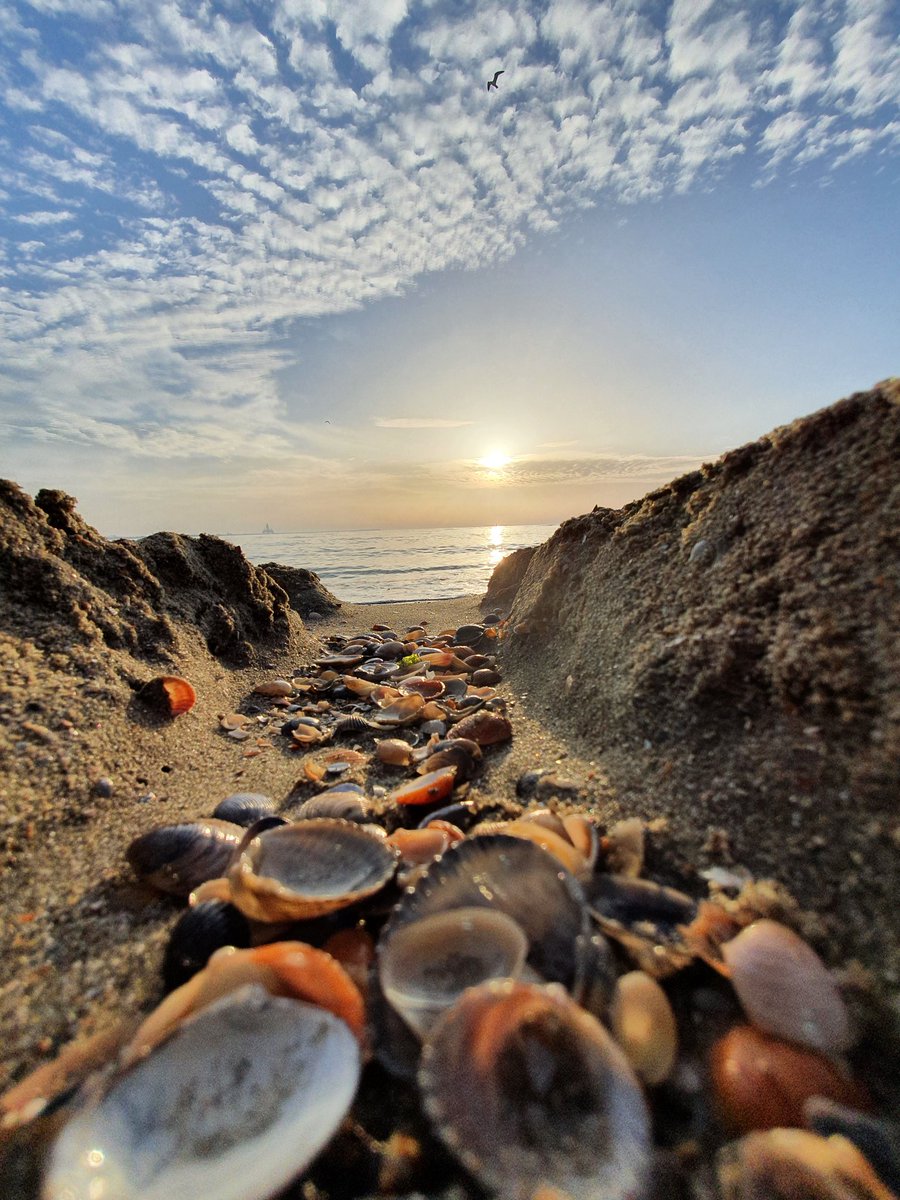 Alex (@alex05325276) on Twitter photo 