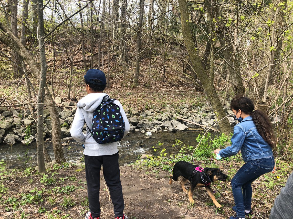 Another thing to love about Scarborough #CherryBlossoms and no fences 🙊😜 Birkdale Ravine is stunning. Lots of space for #PhysicalDistancing and space for littles and 🐕 to run around. #GreenSpacesForAll