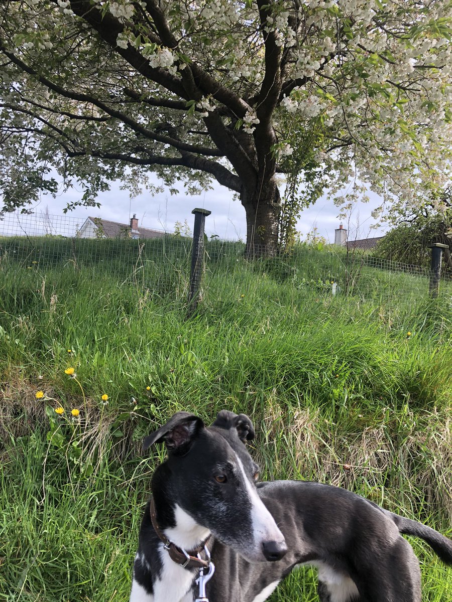 Ashley RN DN QN tweet media