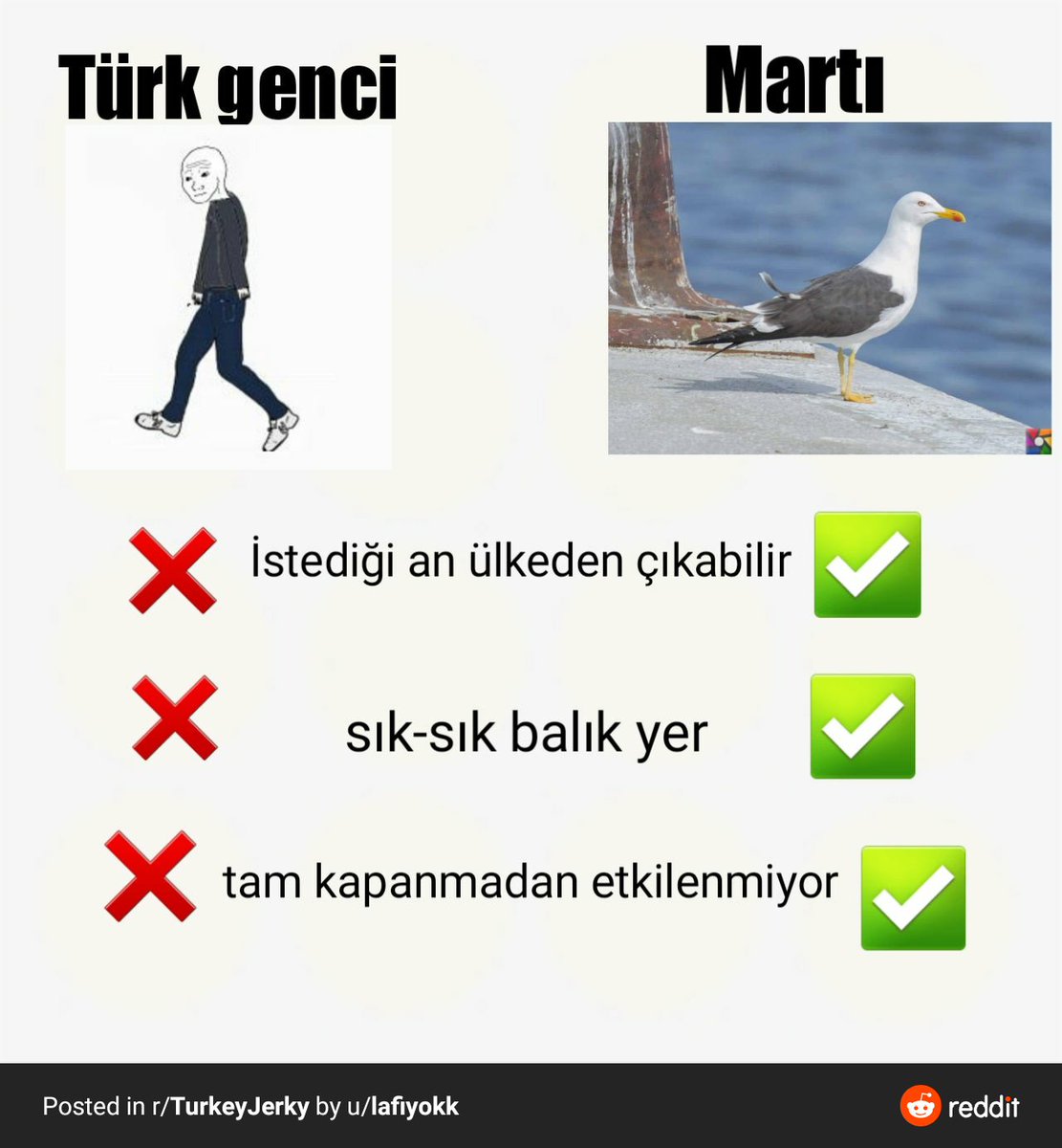 #Araçfiyatları