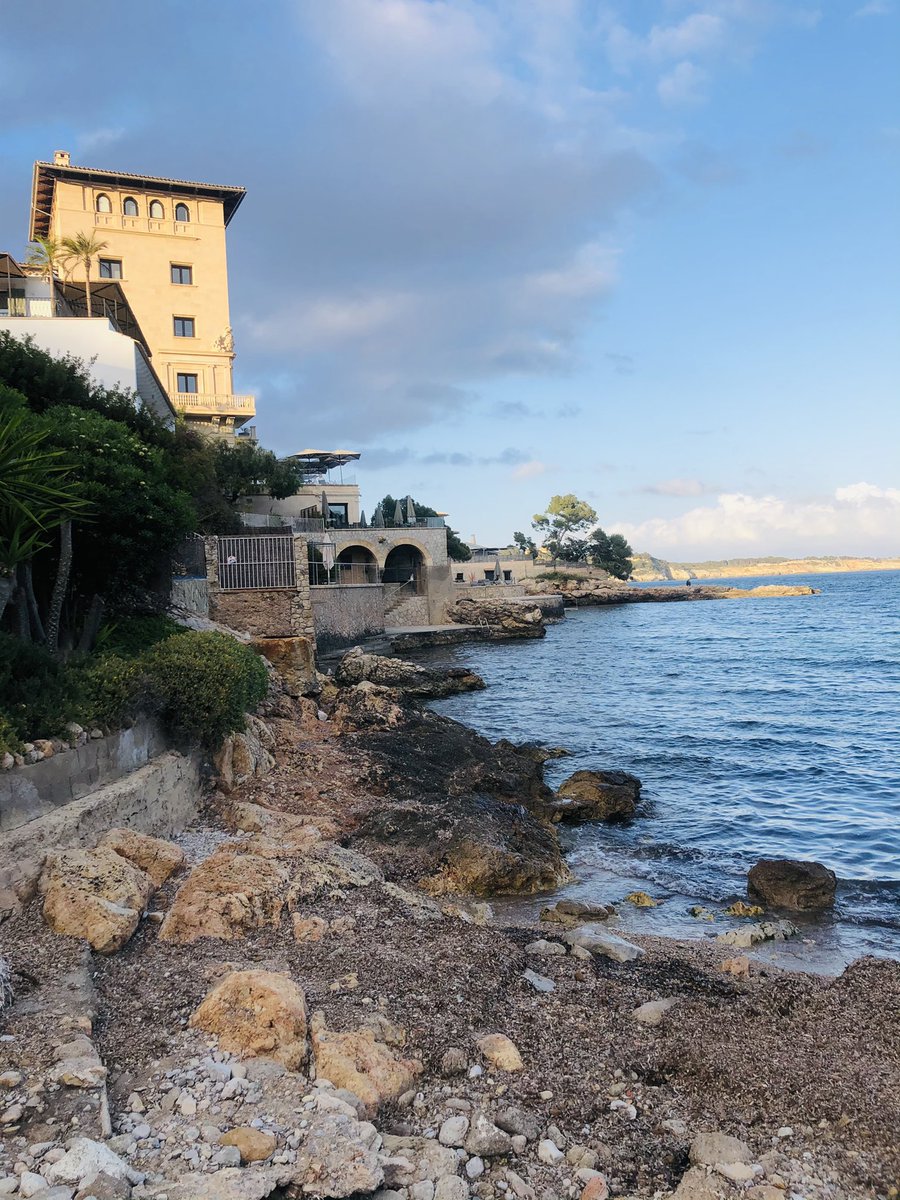 Oskars Zariņš (@oskarszarins) on Twitter photo 