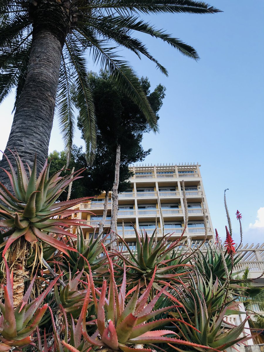 Oskars Zariņš (@oskarszarins) on Twitter photo 