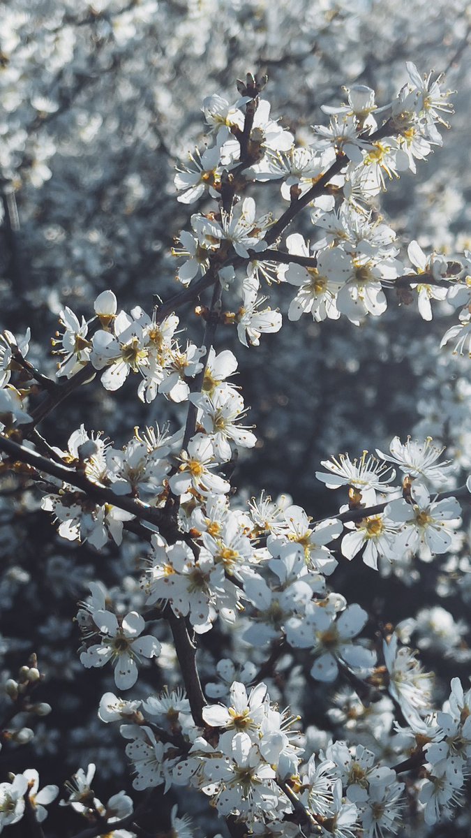 Spring is in the air.