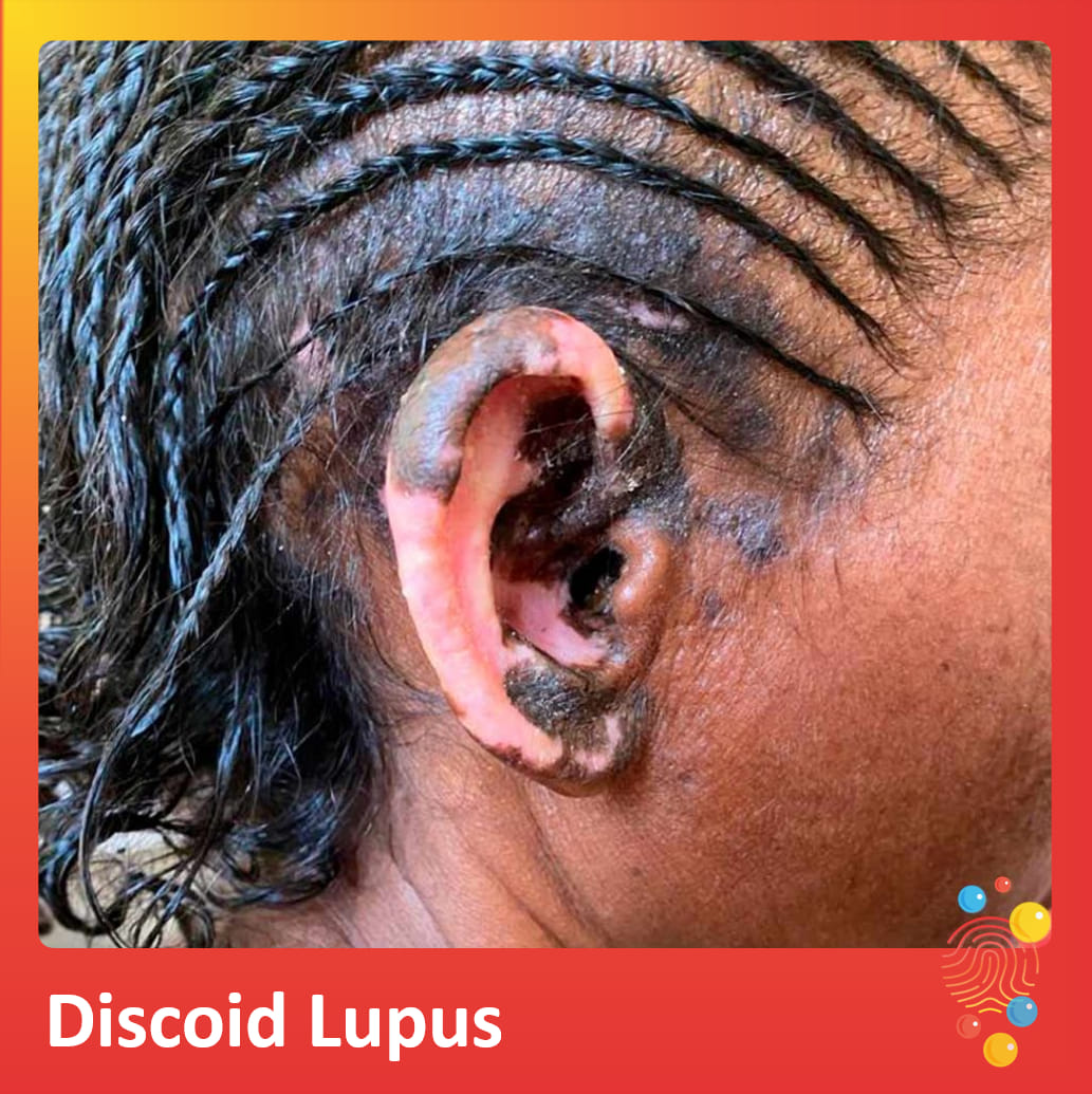 Team DFTB tweet media