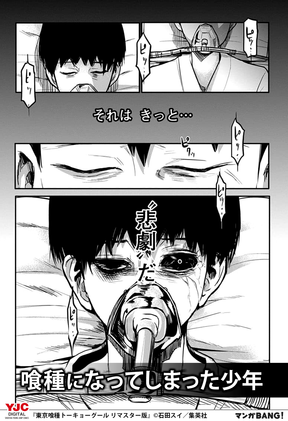 マンガbang 人気マンガが無料で読める 彼に移植されたのは 喰種 の内臓 彼の体に徐々に変化が 東京喰種トーキョーグール リマスター版 無料で試し読み インストールはこちら T Co Abtf7pthts T Co 9zmk7z2eue Twitter