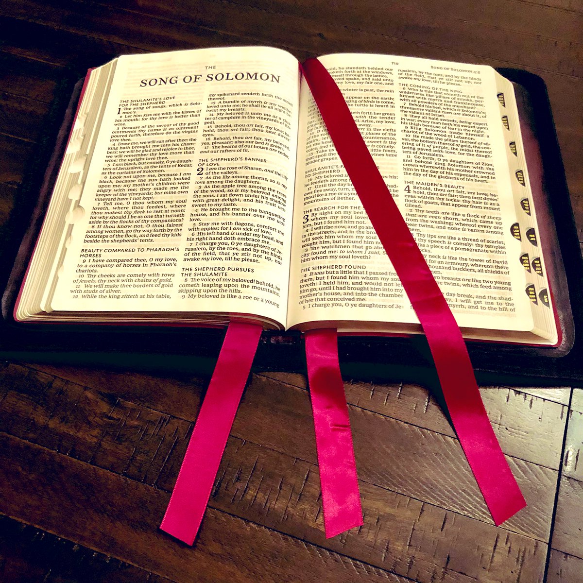 Shepherd's Leather “In the field” tweet media