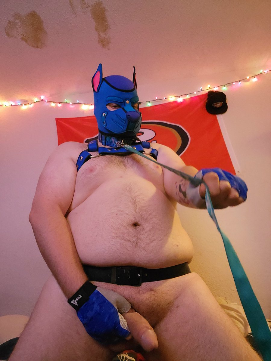 AlphaPupSalazar's tweet photo. So I heard Twitter got rid of the crop huh??
#pupplay #puppyplay #humanpet #collaredpup #puppykink #puptwitter #Stitch #teamnocrop https://t.co/Z4zaTIArBY