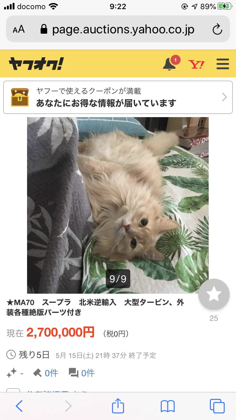 ヤフオクで自動車が売りに出されているけど？猫のためだった！