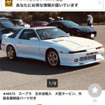 ヤフオクで自動車が売りに出されているけど？猫のためだった!