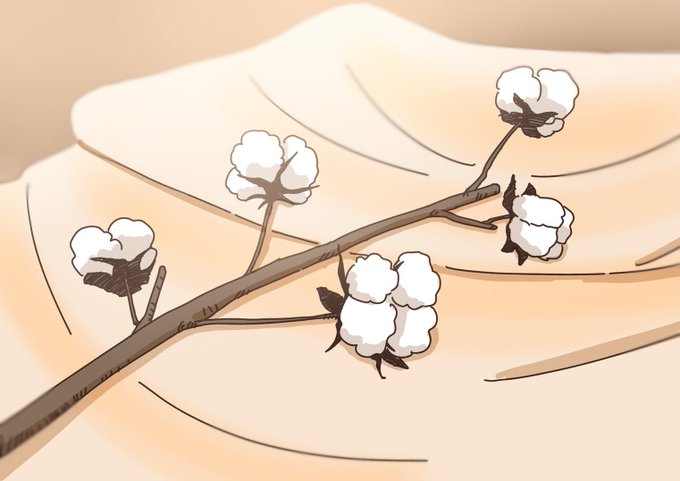 オーガニックコットンのtwitterイラスト検索結果 オーガニックコットンのtwitterイラスト検索結果