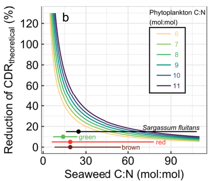 7/nIf seaweeds can sequester more carbon per nutrient than phytoplankton then there is a net benefit of seaweed farming on C-fixation. This is generally the case for Sargassum and most seaweeds but nutrient reallocation still constitutes a CDR discount between 7-50%