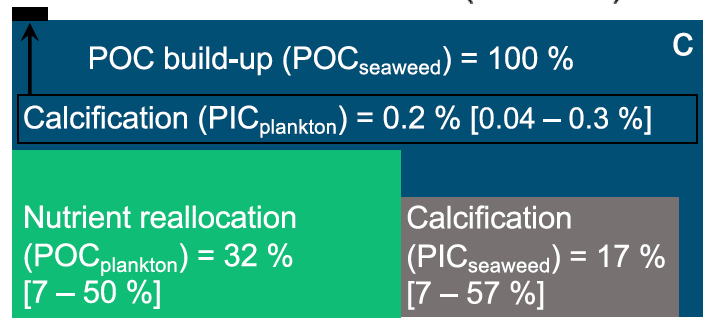 9/nAltogether the discounts to C-fixation by Sargassum due to calcification and nutrient reallocation are roughly between 20-100%. Accounting for the exact number is difficult but necessary for seaweed carbon farming.