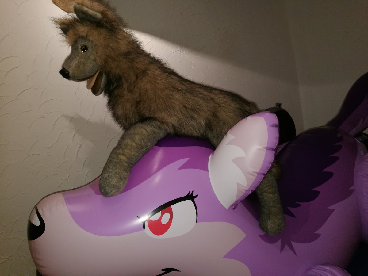 Hello my old friend! Finaly renewed the polyfill of my Wolf and He has found a new friend already! #inflatables #inflalove #puffypaws #puffypawstoys