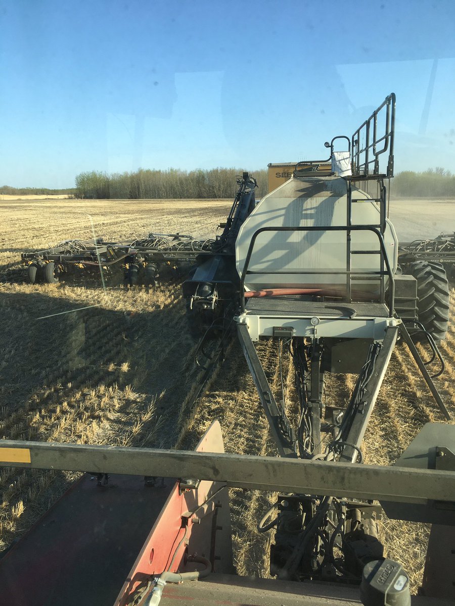 Camile Baillargeon (@camcar_ent) on Twitter photo LL trial day. Lots of interesting seed products coming from <a href="/PioneerSeedsCA/">Pioneer Seeds Canada</a> #harvestmax #EarlyMaturity #sclero #clubroot LL trial day. Lots of interesting seed products coming from <a href="/PioneerSeedsCA/">Pioneer Seeds Canada</a> #harvestmax #EarlyMaturity #sclero #clubroot