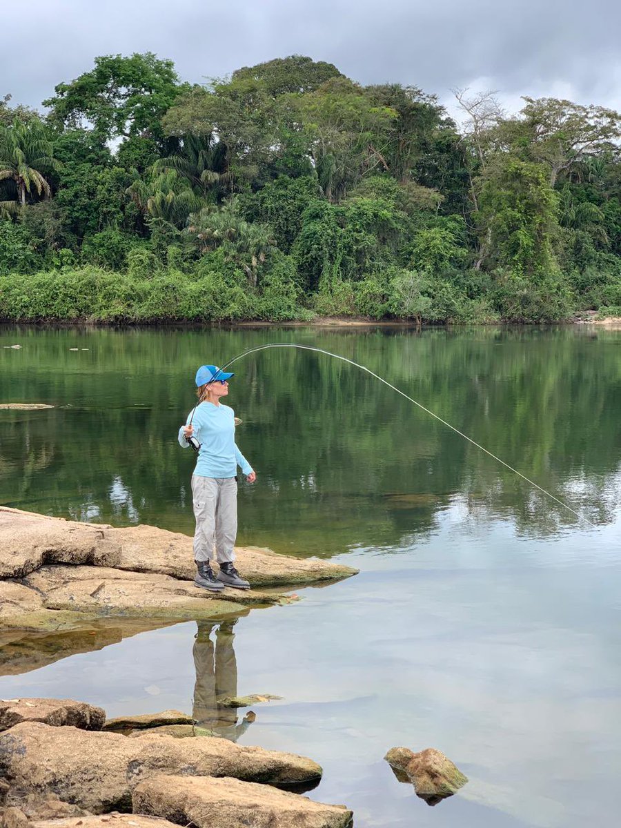 KendjamLodge's tweet photo. One of the most compelling aspects of the fishing program at Kendjam is that the water is generally so clear that anglers can target a variety of species by sight fishing. Being able to cast directly to fish and watching them strike always adds excitement to the experience. https://t.co/ae7EfmocKw