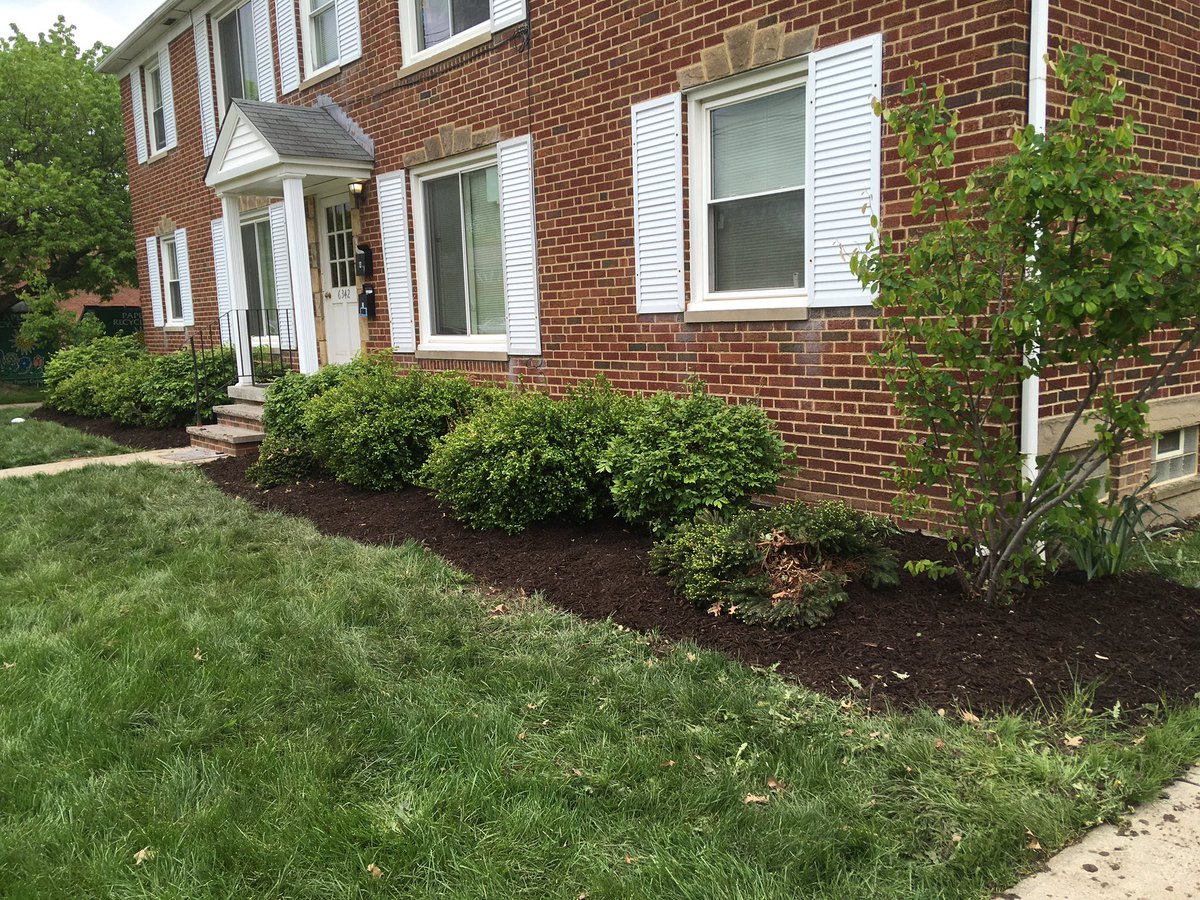 216Cub's tweet image. This past Saturday several of our scouts  gave back to our Chartered Organization by doing a little weeding &amp;amp; laying some mulch in the cool morning. 
“A scout is HELPFUL!”