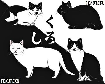 #illustration 
 #オリジナルイラスト
 #猫好き (=^・^=)♡ 