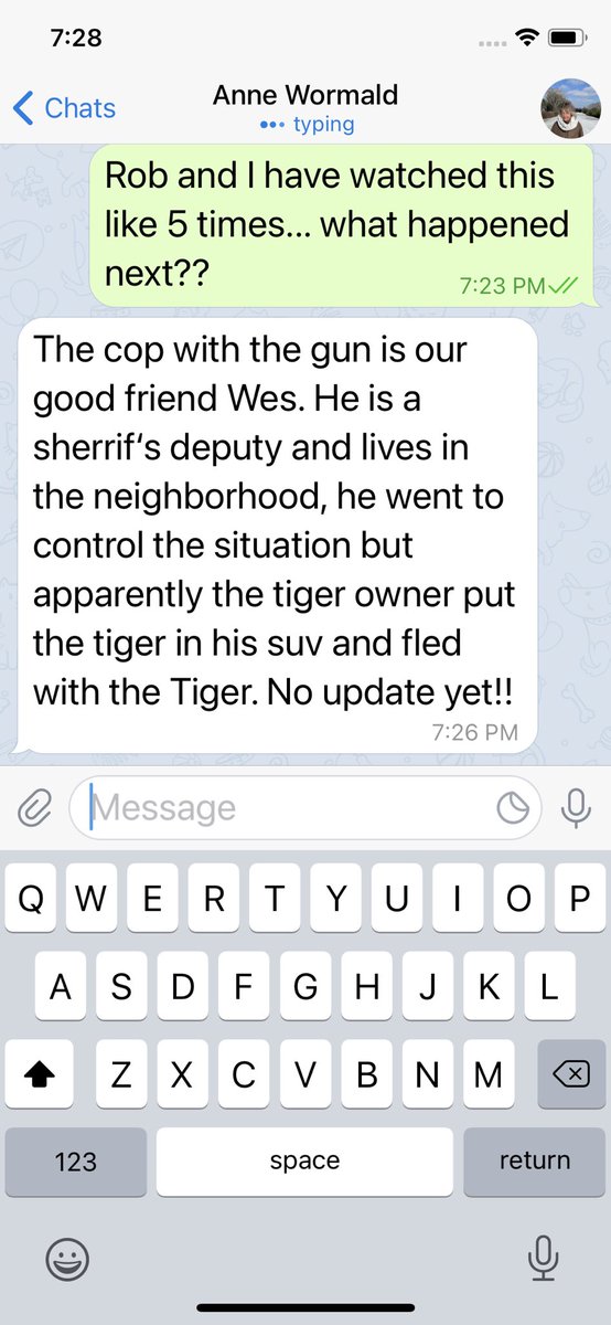 Apparently there's a tiger loose on my parents' West Houston street?