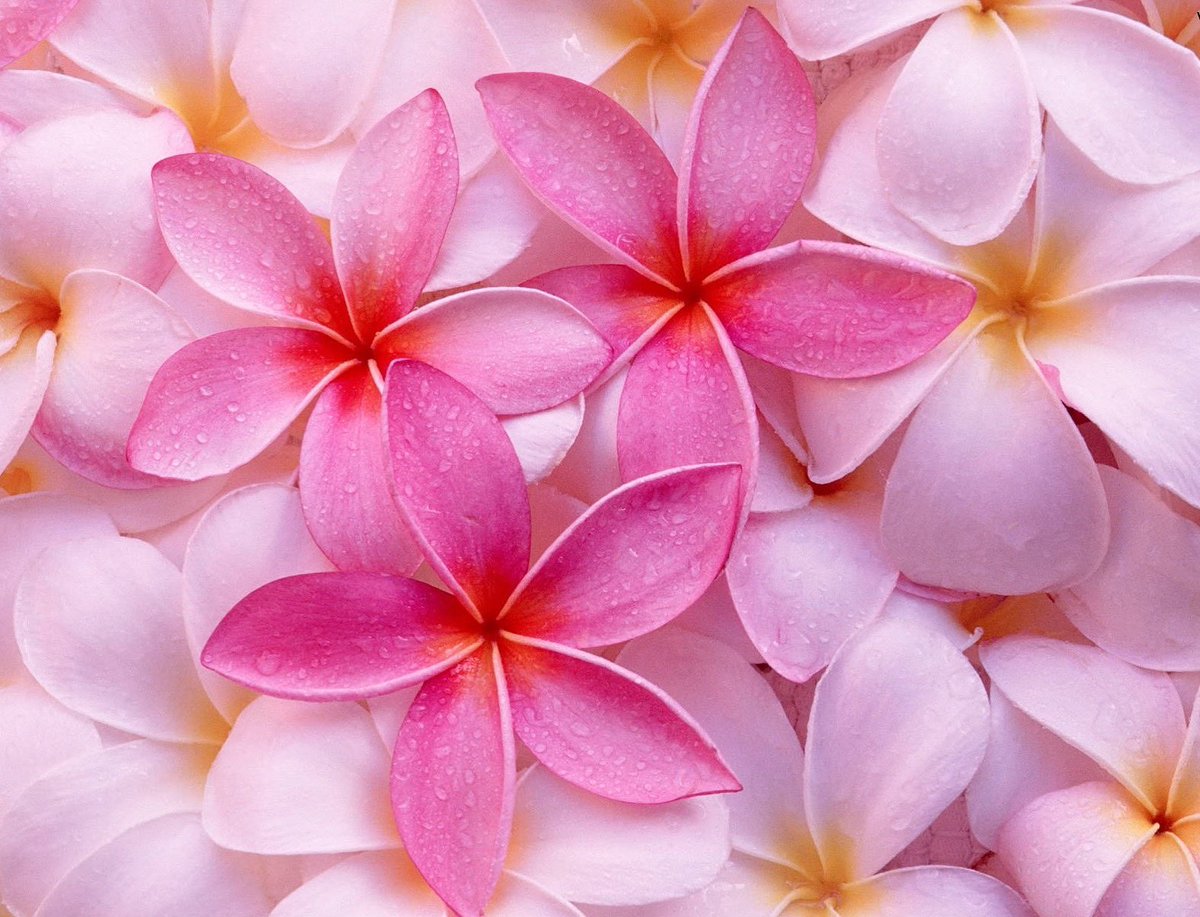 Twitter ನಲ ಲ ママありがとう ಹ ಯ ಶ ಟ ಯ ಗ