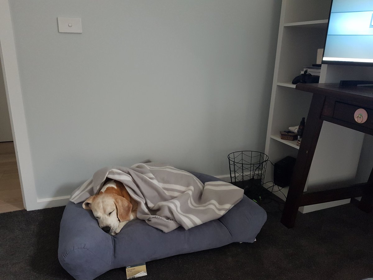 My co-worker is sleeping on the job.