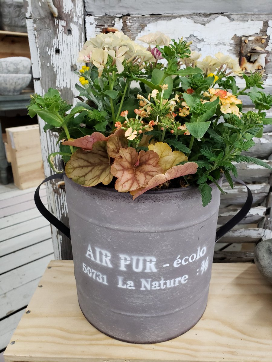 ジョイフル本田 ガーデンセンター Gc Joyfulhonda Twitter