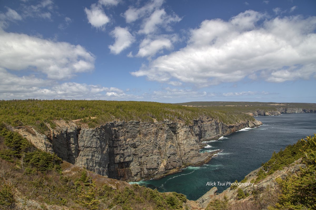 positively4ever's tweet photo. Best trails. @EastCoastTrail rules.! What a beautiful #Hiking day today. @downhomelife @TheNfldHerald @DestinationSJ @NLtweets #bestkind #StilesCovePath #wxnl #ShareYourWeather https://t.co/s1n9UyPmBA