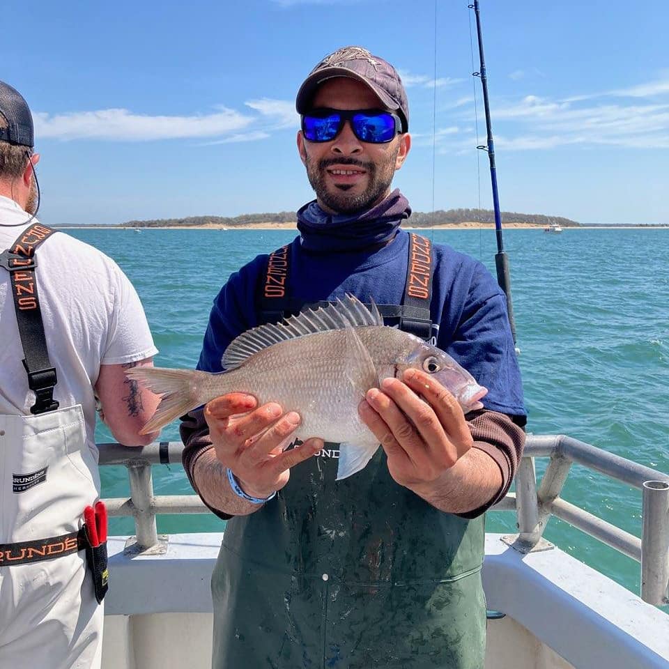 BlackHawkFishin's tweet photo. 860 448-3662 www.blackhawksportfishing
#blackhawk #supportsmallbusiness #takeakidfishing #supportnianticbiz #niantic #fishct #fish #fishing #fishlongislandsound #porgyseason #porgies #scup #jumbos #jumboscup #porgytime #wickedporgy #fishon #charterfishing #charterboat #partyboat https://t.co/WdbDSolgxl